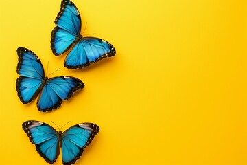 Three butterflies against yellow background with copy space.