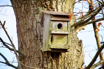 Nistkasten am Baum