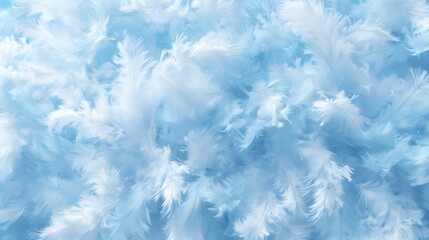 Fototapeta na wymiar Close up of soft Blue feather Abstract background texture. Copy space. 