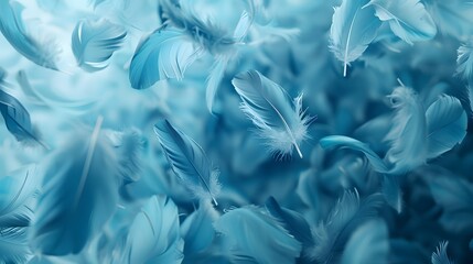 Close up of Bright Blue feather Abstract background texture.	