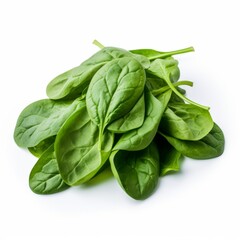 Fresh spinach on a white background.