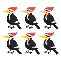 Obraz premium Collection of birds, lilac breasted roller, bullfinch, red bellied pitta, great tit, kingfisher, northern cardinal, bee eater, sparrow, superb fairy vector Illustrations