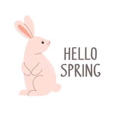 Hello spring design with cute pink rabbit. Design element for cards, posters, postcards and stickers. Isolated vector illustration