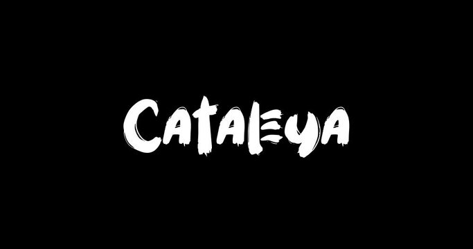 Cataleya Women Name in Grunge Dissolve Transition Effect of Animated Bold Text Typography on Black Background Stock Video