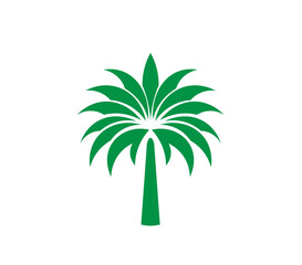Palm tree vector illustration in minimalist style