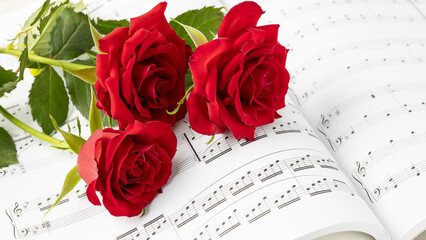 Beautiful bouquet of rose  flowers lying on open music book. Sheet music book background with copy space.