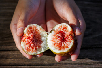 close-up woman hands open half ripe fresh fig fruit, The farmer checks the quality of the figs