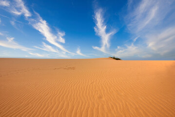 Arid landscape with sea and beautiful blue sky in the taroa dunes. Guajira, Colombia. 