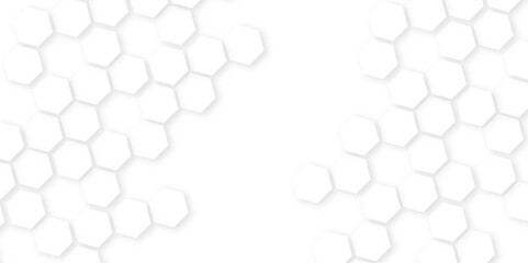 Abstract background honeycomb white and grey.ideas for your design banners , book, Website work, stripes, tiles,Futuristic abstract banner.Elegant concept design with golden line.