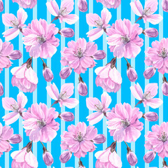 Watercolour Sakura spring flowers illustration seamless pattern. Seasonal Cherry blossom. Hand-painted. Botanical Floral elements. On stripes blue background. For print decoration, fabric, wrapping