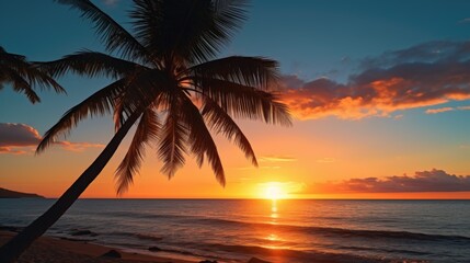 Fototapeta na wymiar Beautiful palm tree on the beach at sunset. Perfect for travel ads