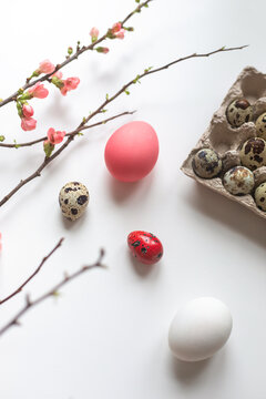 Easter holiday concept with painted pink eggs and quince tree flowers on the white background. 