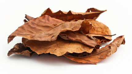 Fototapeta premium dry leaves on a white background. studio. photo icon for design