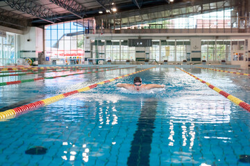 Female competitive swimmer moving through the water performing the butterfly stroke during swimming training, front view. - obrazy, fototapety, plakaty