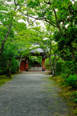 京都鷹峯常照寺の参道