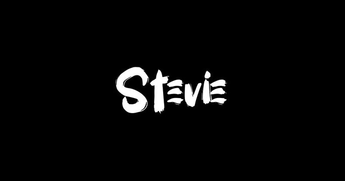 Stevie Baby Girl Name in Digital Grunge Transition Effect of Bold Text Typography Animation on Black Background