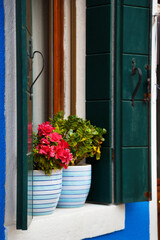 Picturesque colorful wooden old style window with green shutters and flowers in pot on windowsill. Bright blue and white house on Burano island, Venice, Italy