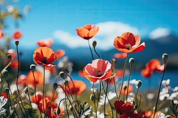 Natural colorful panoramic landscape with many wild flowers of poppies against blue sky. Spring concept