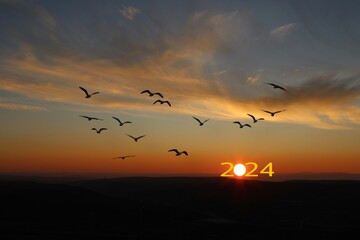 Transition from 2023 to new year 2024 concept with text on sun rising sky. Life is short birds are flying.