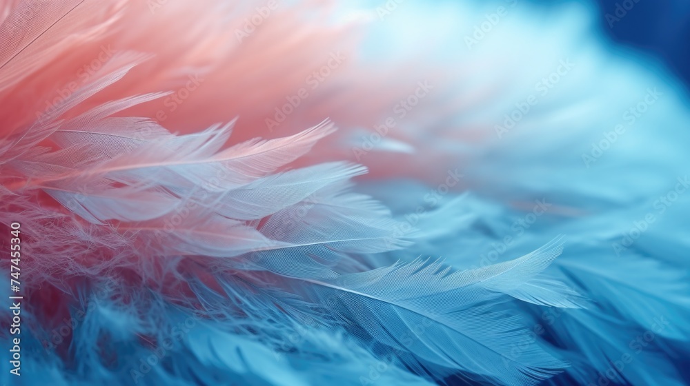 Poster detailed close-up shot of a bunch of feathers, suitable for various projects