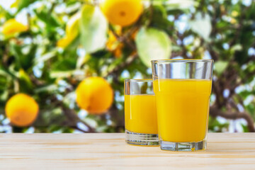 Two glasses of orange juice on nature background. Fruit concept.
