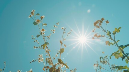 Sun shining through plant branches, suitable for nature and botanical concepts