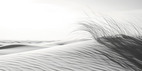 Black and white photo of a sand dune, perfect for travel blogs