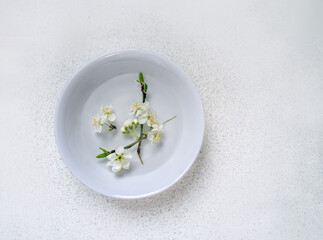 Kleine weiße Blüten an Zweig auf hellem Porzellan Teller liegend