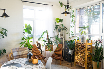 Tropical indoor plants in the interior room white loft in country house, wooden furniture, firewood for fireplace in sunlight. Houseplant Growing and caring for potted plant, green home in cottage