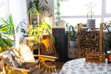 Tropical indoor plants in the interior room white loft in country house, wooden furniture, firewood for fireplace in sunlight. Houseplant Growing and caring for potted plant, green home in cottage