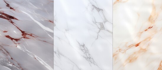Three distinct types of marble are displayed, each showcasing a different color and pattern. The glossy surfaces of the marble stones highlight their unique characteristics and textures.