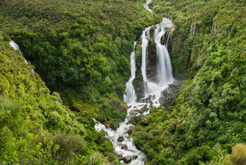 Fototapeta na wymiar Waipunga Falls, Hawke's Bay, Nordinsel, Neuseeland, Ozeanien