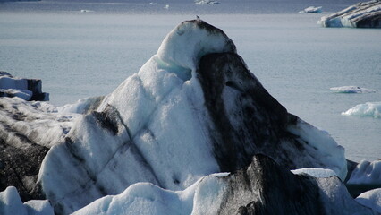 Gletscher in Island