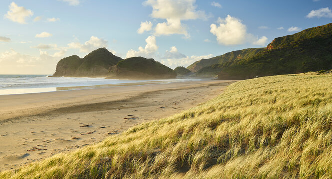 Bethells Beach, Auckland, Nordinsel, Neuseeland
