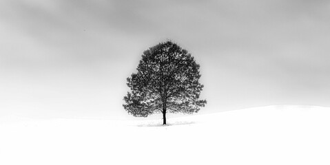 snow covered trees in winter - Powered by Adobe