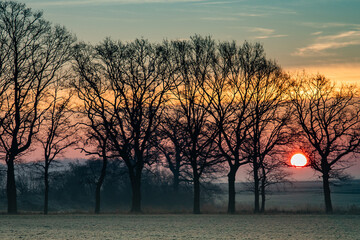 Wschód słońca na wsi zimą, widok zza drzew. Krajobraz wiejski o wschodzie słońca w zimowy poranek © Dan