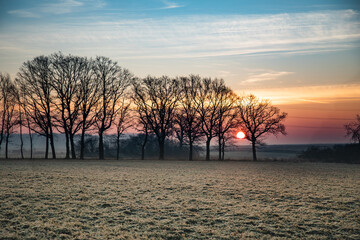 Wschód słońca na wsi zimą, widok zza drzew. Krajobraz wiejski o wschodzie słońca w zimowy poranek - obrazy, fototapety, plakaty