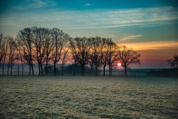 Wschód słońca na wsi zimą, widok zza drzew. Krajobraz wiejski o wschodzie słońca w zimowy poranek - obrazy, fototapety, plakaty