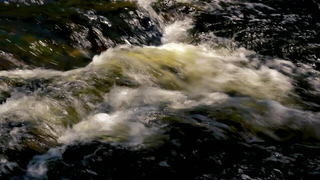 Rushing water through a small stream after a winter melt