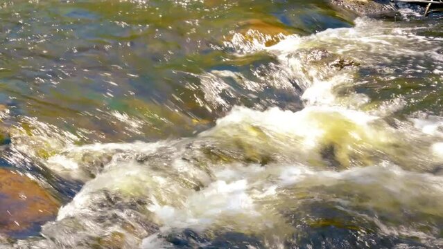 Rushing water through a small stream after a winter melt