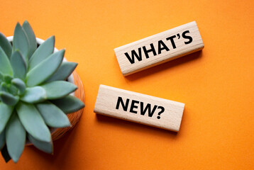 What is new symbol. Concept word What is new on wooden blocks. Beautiful orange background with succulent plant. Business and What is new concept. Copy space