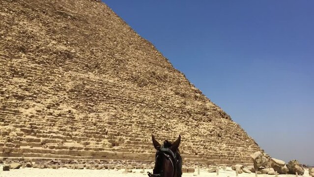 Horse and carriage ride up close to the Giza Pyramids