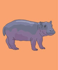Hippo Baby Hippopotamus Standing Side View