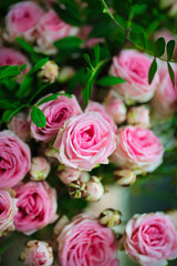 Pink Roses With Green Leaves