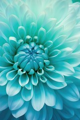 Obraz premium Close up of a large blue flower, perfect for floral backgrounds
