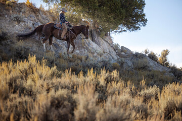 Naklejka premium Cowgirl Riding horse down steep hillside
