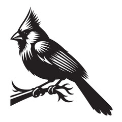 Vintage Retro Styled Vector cardinal bird Silhouette Black and White - illustration

