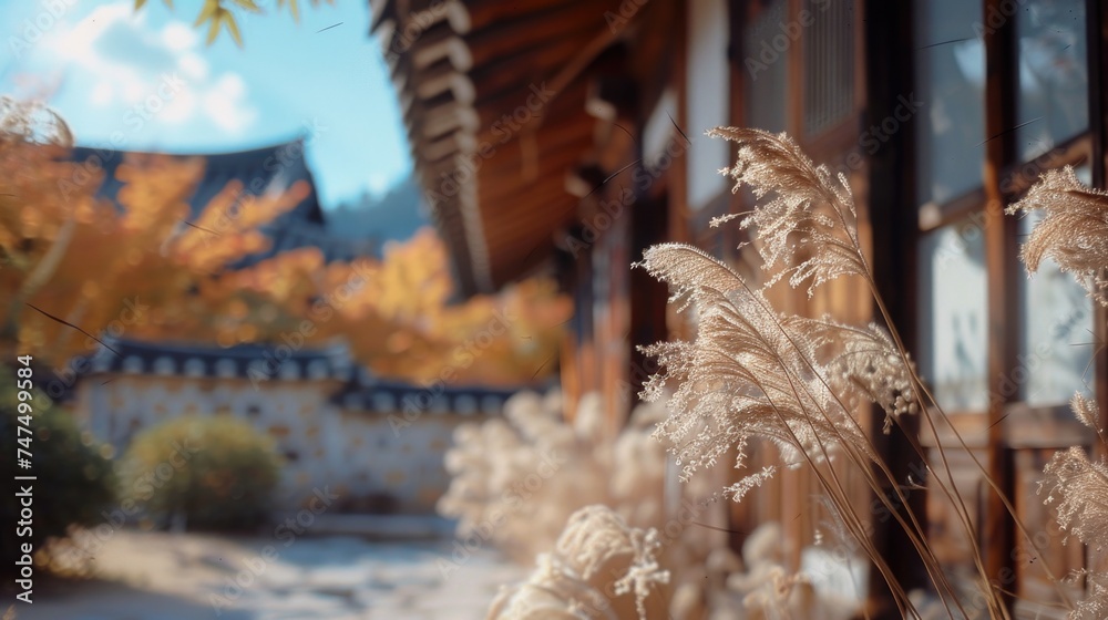 Aufkleber tall grass in front of a building with a blue sky in the background. suitable for architectural and 