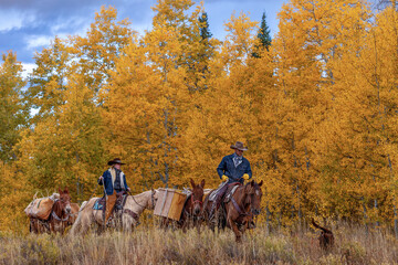Colorado Outfitter riding horses pack mules fall autumn colorful golden aspens