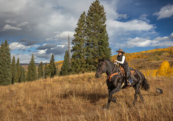 Cowgirl riding black draft horse in Colorado mountains in fall autumn